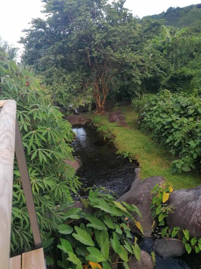 Willa Le Domaine De Jade Riviere du Mat-les Hauts Zewnętrze zdjęcie